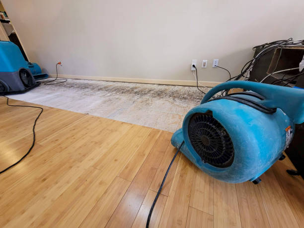 Reliable Flood Damage Restoration contractor in Clinton, IA by Hirex Water Damage