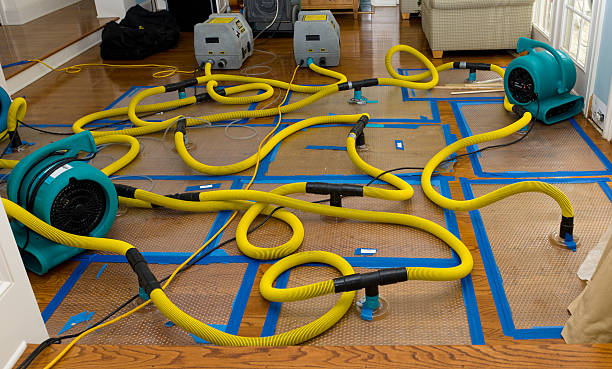 Professional Flood Damage Restoration technician working in Clinton, IA