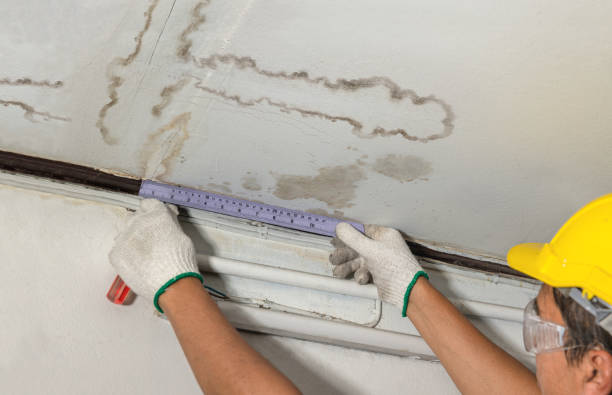 Affordable Water Damage Repair solutions in Clinton, IA